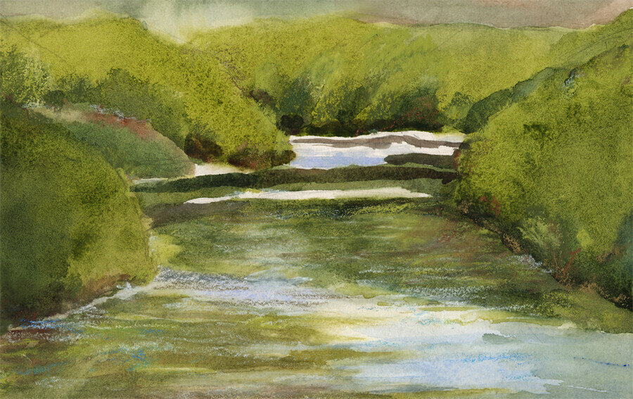Lagunitas Creek